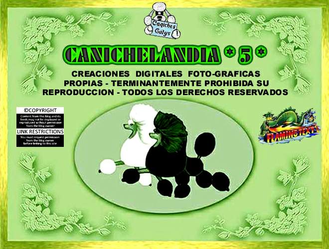 CANICHES GULYS - CANICHELANDIA - 5 -