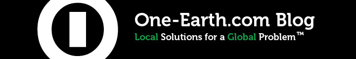 Local Solutions for a Global Problem