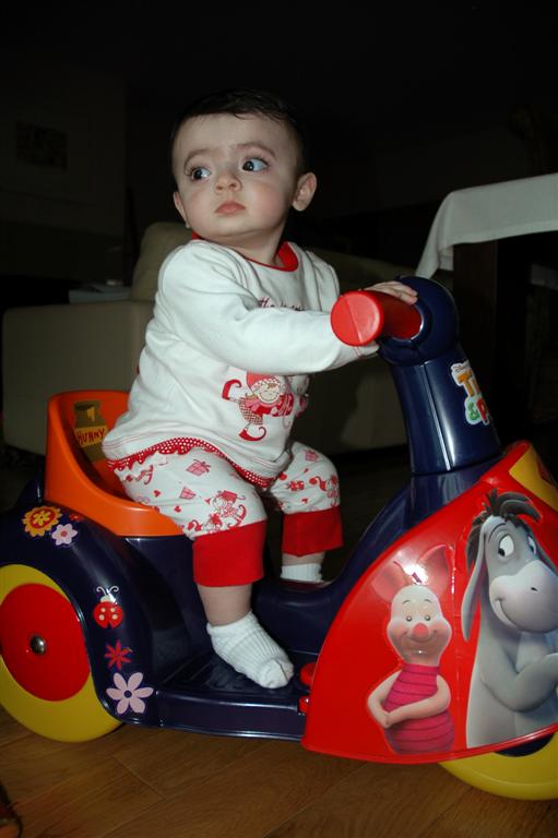 [DSC_8341+(Large)+(2).JPG]