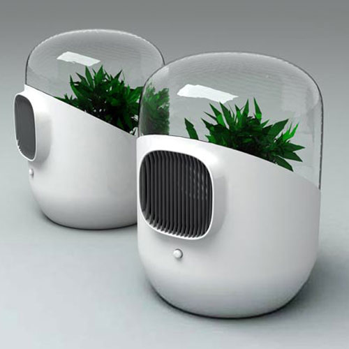 Special Unique Interesting Plant Powered Living Air Filter