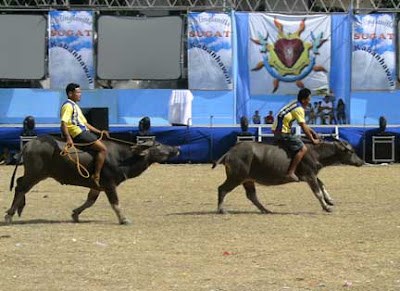 Cebu Daily Pictures