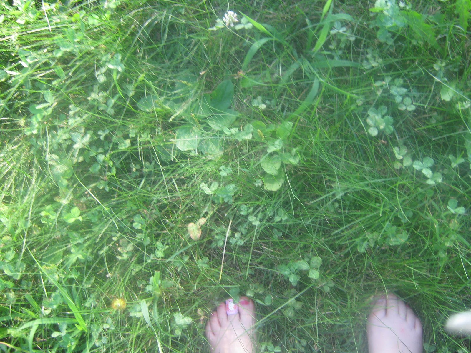 [IMG_2565.JPG]