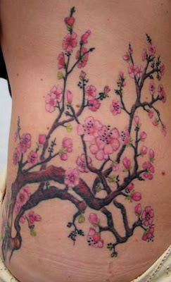 Types Of Cherry Trees Types Of Cherry Trees