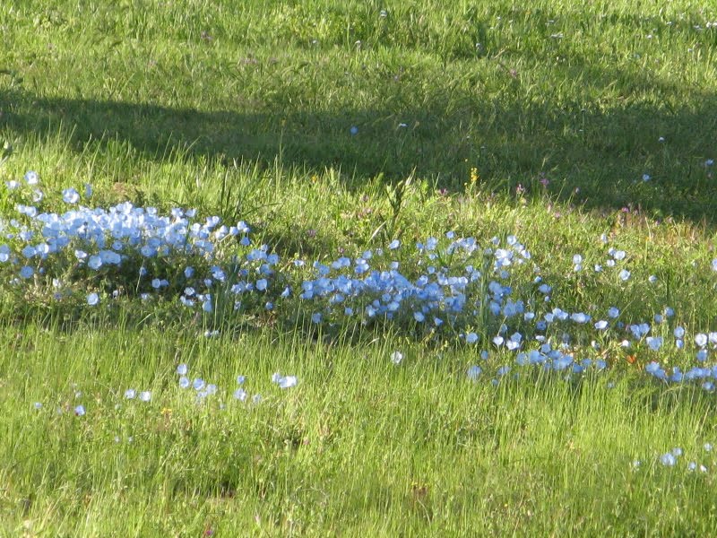 [IMG_2502.JPG]