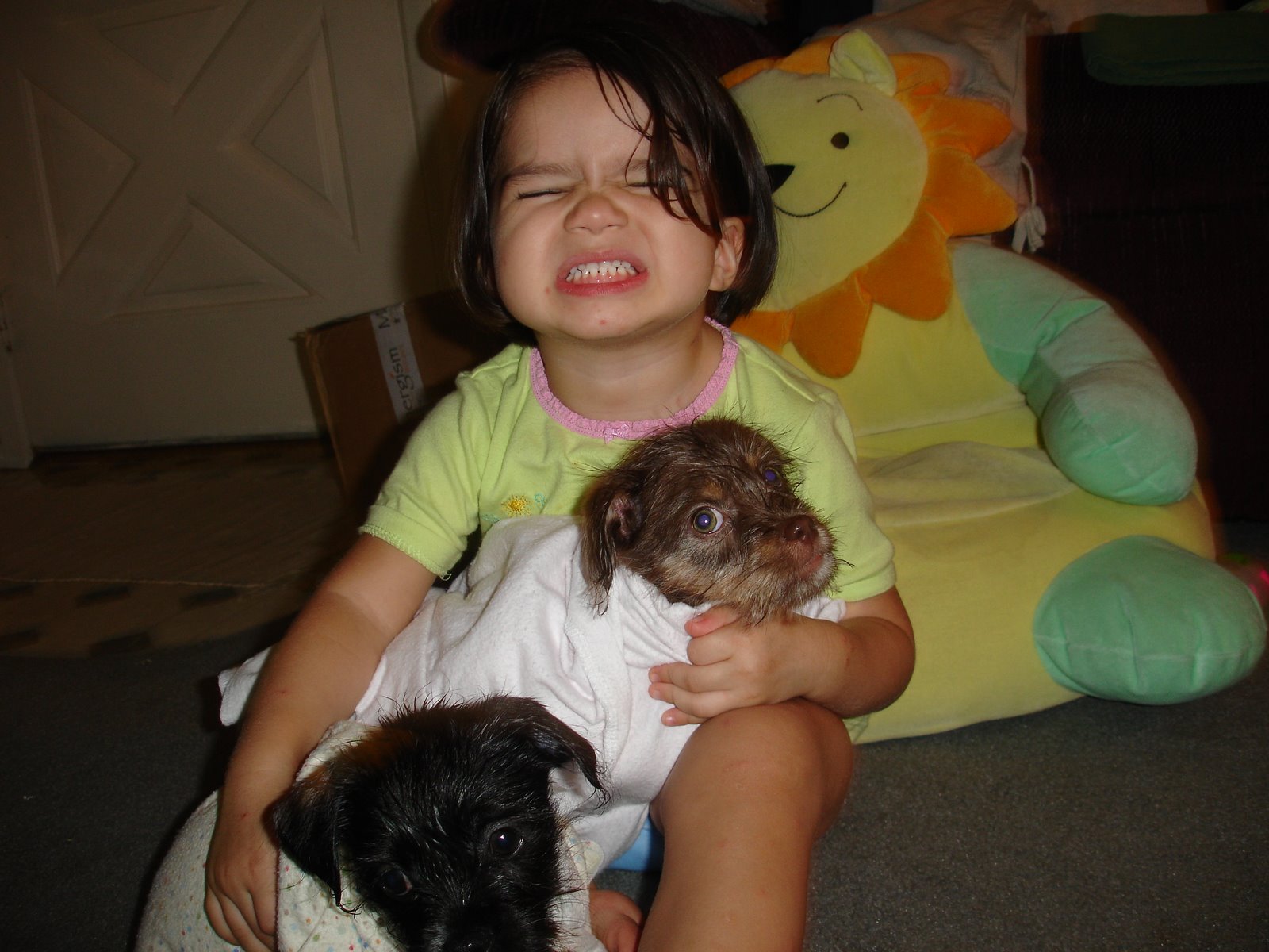 [DSC09234.JPG]