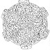 15 Coloriage De Mardi Gras A Imprimer 15 Coloriage De Mardi Gras A Imprimer
