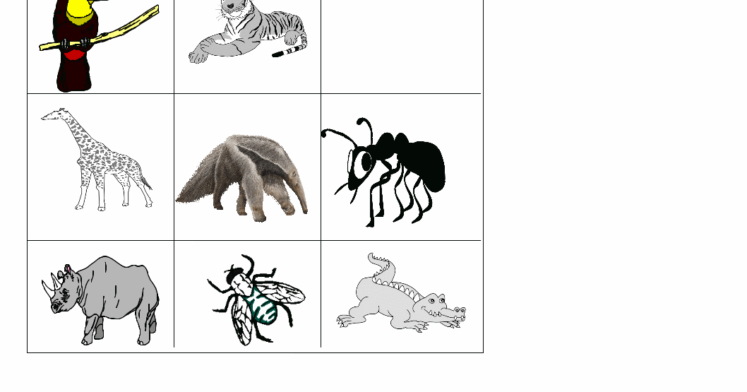 Maternelle La Grenouille A Grande Bouche Par Elodie Nouhen Et Francine Vidal Chronologie