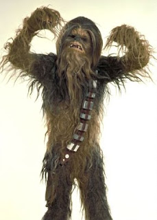 http://4.bp.blogspot.com/_eRV_SqlYttk/SHZp7qIdHdI/AAAAAAAABzQ/Pi3HQfvQn6k/s320/chewbacca.jpg