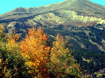 Fall Foliage Peak 8