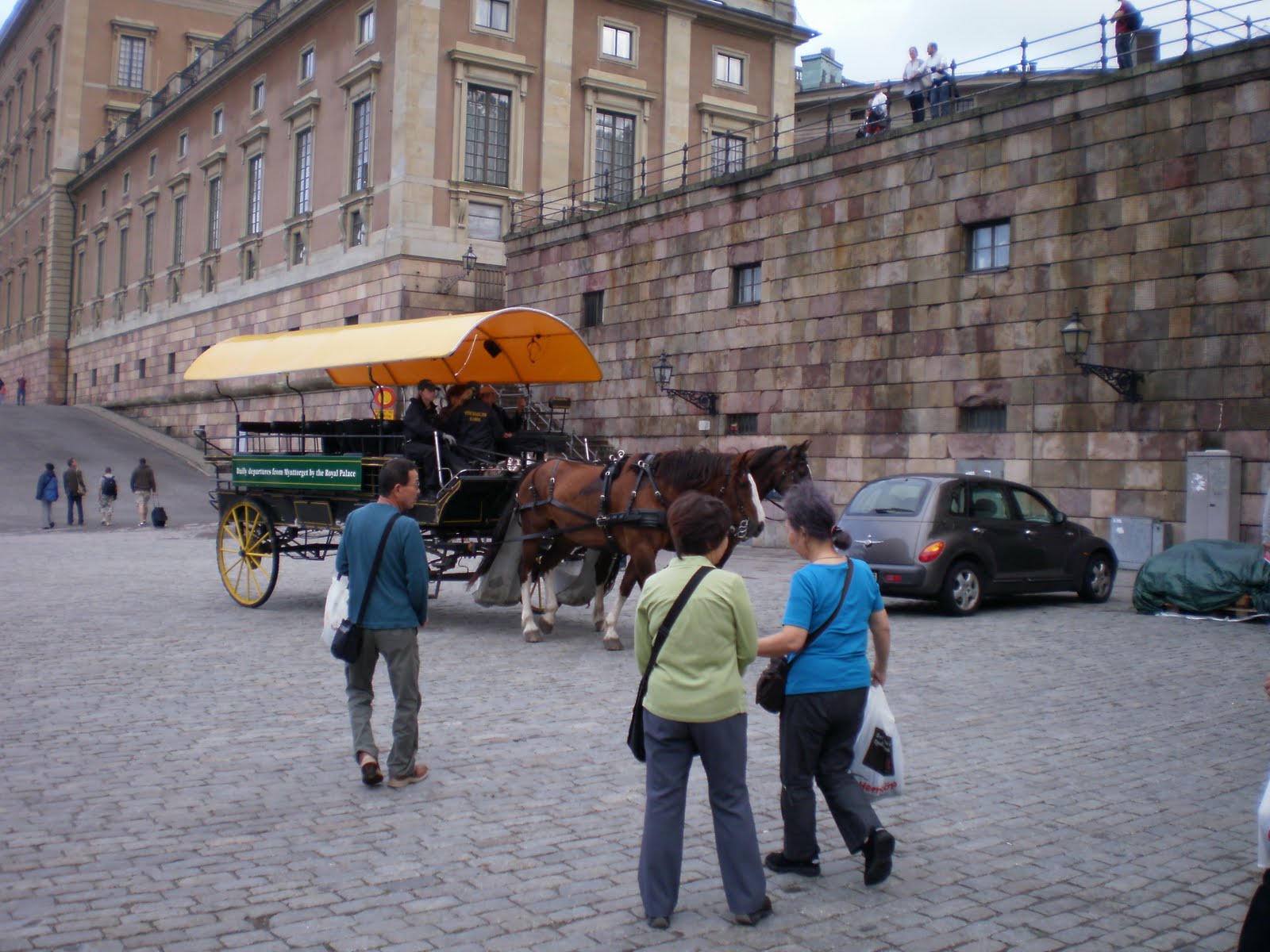 [P8260112.JPG]