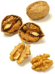 [walnuts2.jpg]