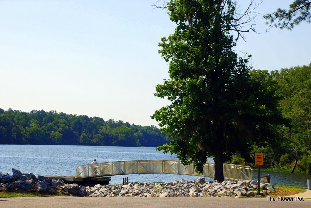 goatrock dam alabama Smiths Station Photo Album » Topix