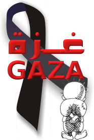 Solidaridad con Gaza