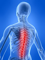 Pain in the spine Vital Force Chiropractic St Louis
