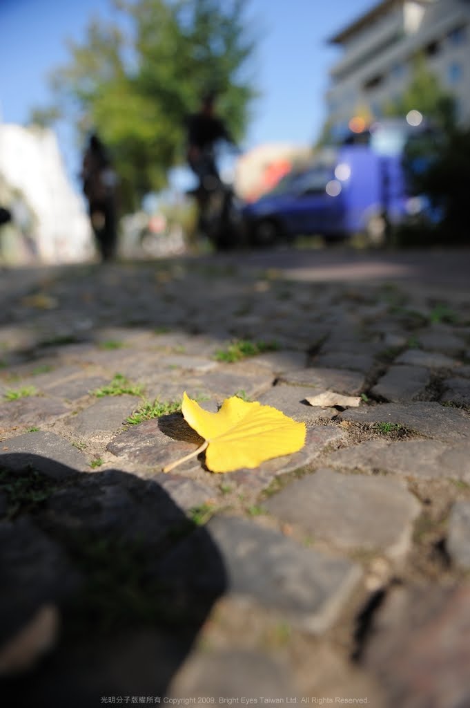 [DSC_2437.jpg]