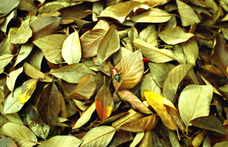 [File0003+copy.jpg]