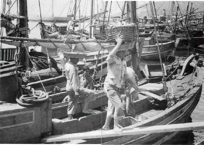 [Descarregador+de+peixe4.JPG]