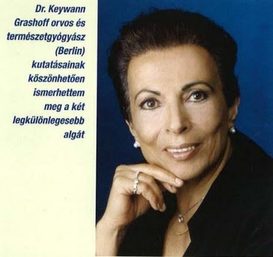 Dr. Keywan Grashoff orvosnő