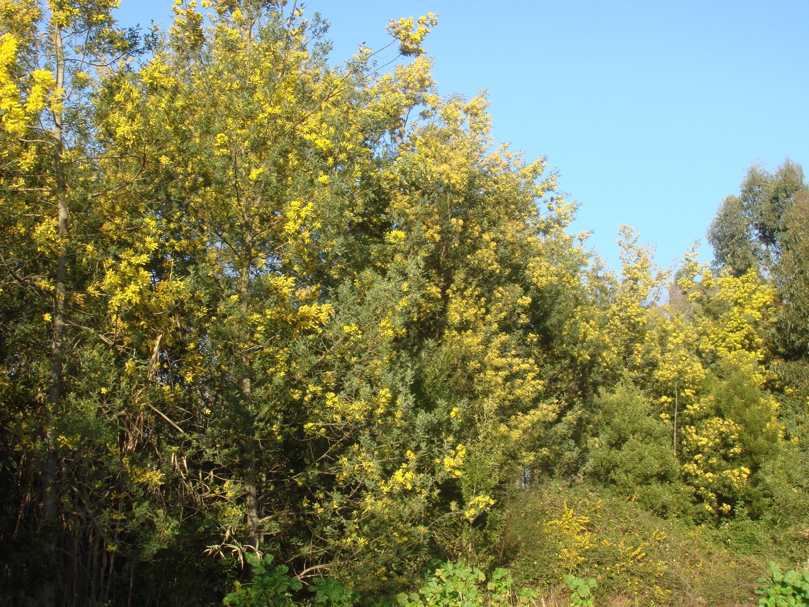 [DSC02643.JPG]
