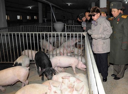 [Kim+Jong+Il+at+pig+farm.jpg]