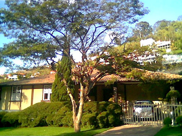 Another house typical of Belo Horizonte