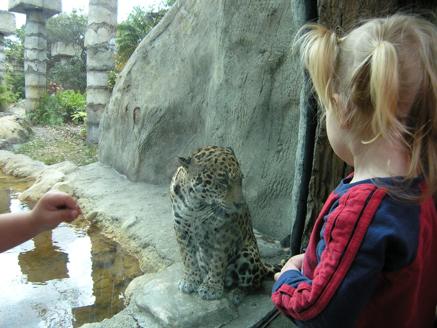 Keeping up with Kids Palm Beach Zoo Review