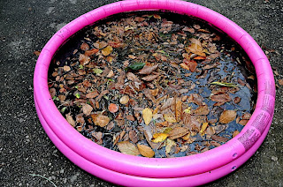 [Linked Image von 4.bp.blogspot.com]