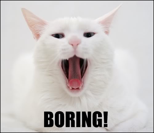 Topic des Lecteurs fous - Page 4 Boring-cat