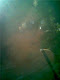 Mi foto