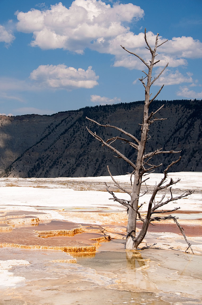 [Yellowstone_DSC_0562_web.jpg]