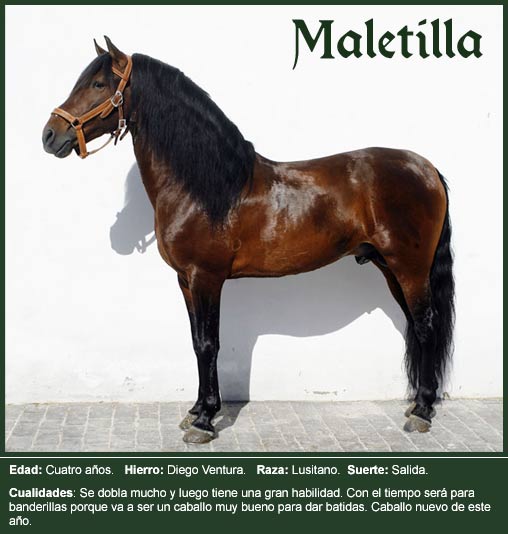 [maletilla_big.jpg]