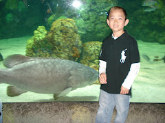 Joshie and the Giant Fish