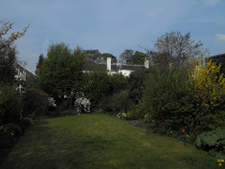 Blue Sky above my Green Garden