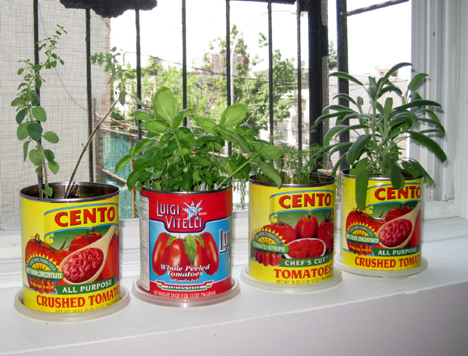 Garden of Steph: Container Herb Gardens