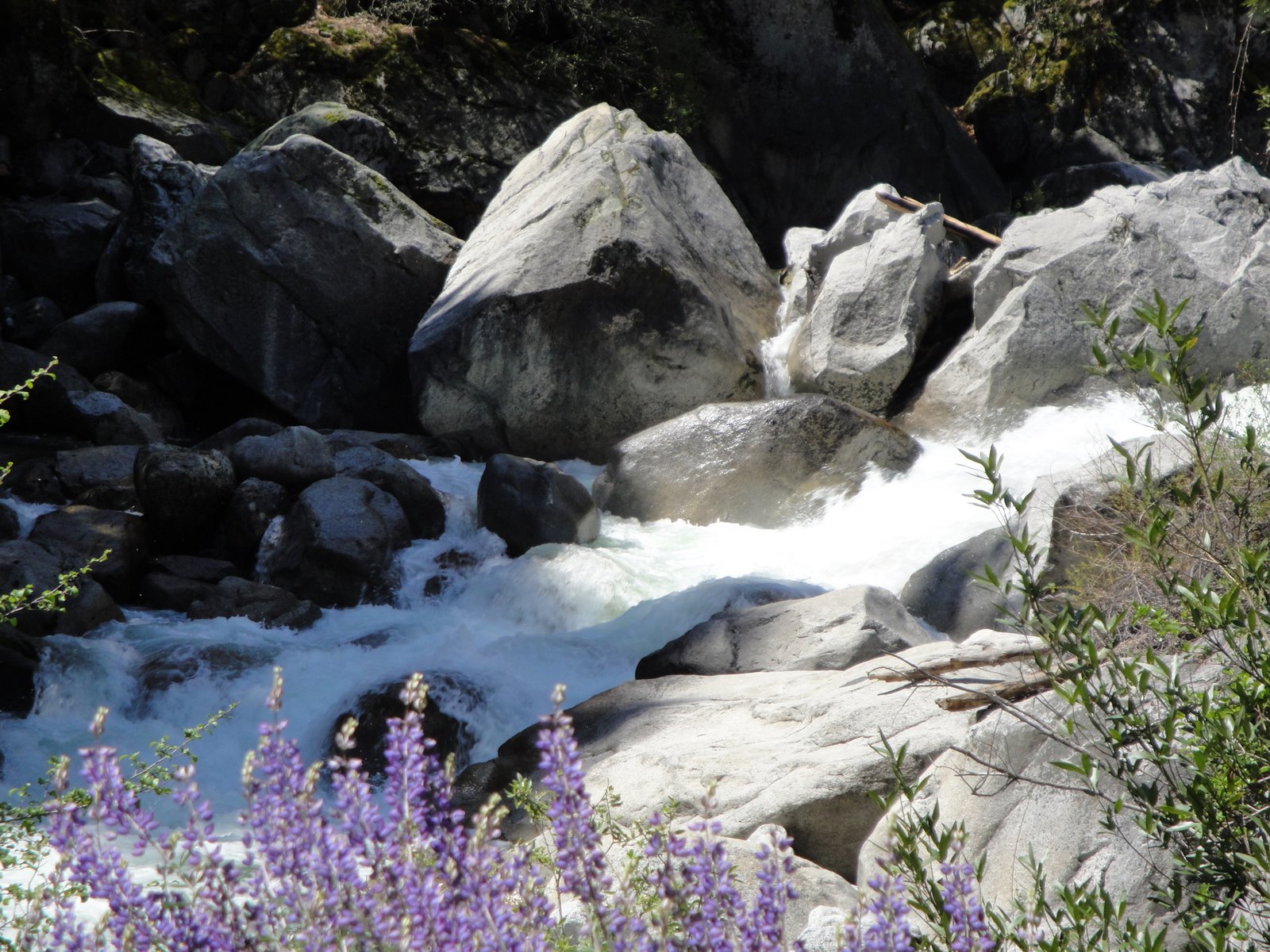 [Rock+Creek+and+waterfall+April+25,+2009+012.JPG]