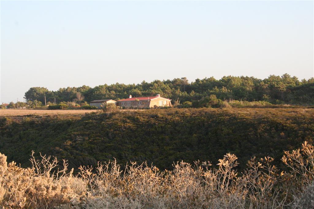 [IMG_5881+(Large).JPG]