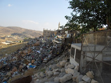 Balata