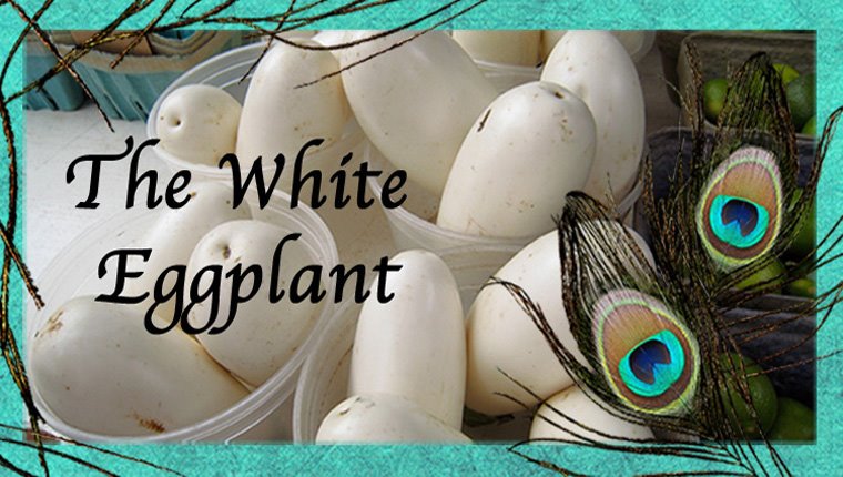 The White Eggplant