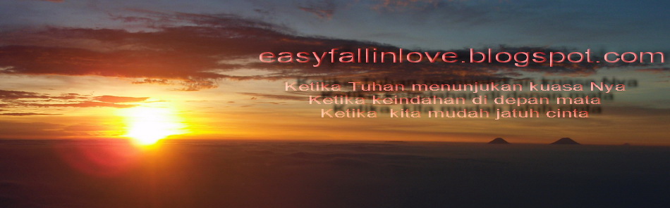 Easy Fall in Love