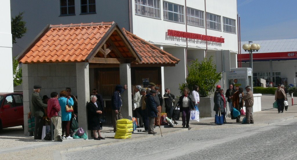 [P1130364-1.JPG]