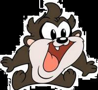 tazmania tazmania