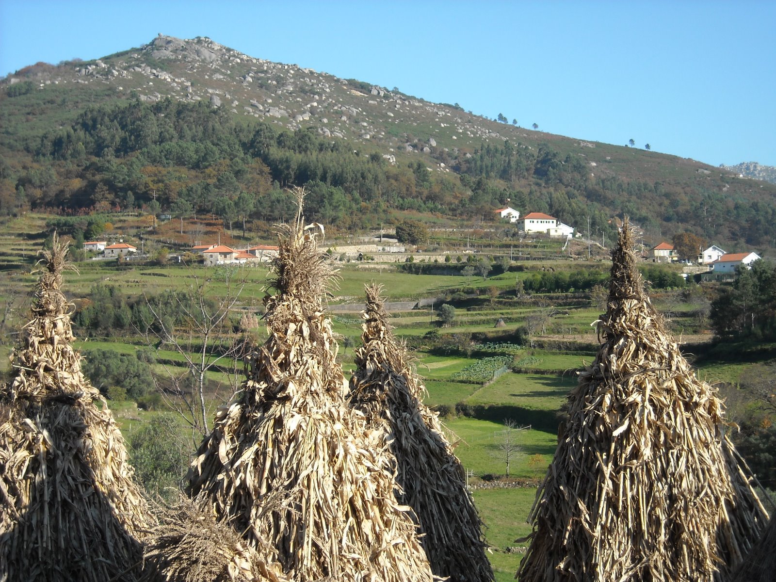 [Rendufe16.11.2008+010.jpg]