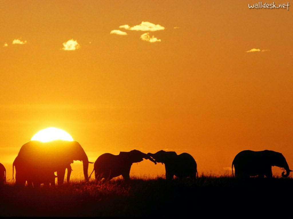 Kenya Sun