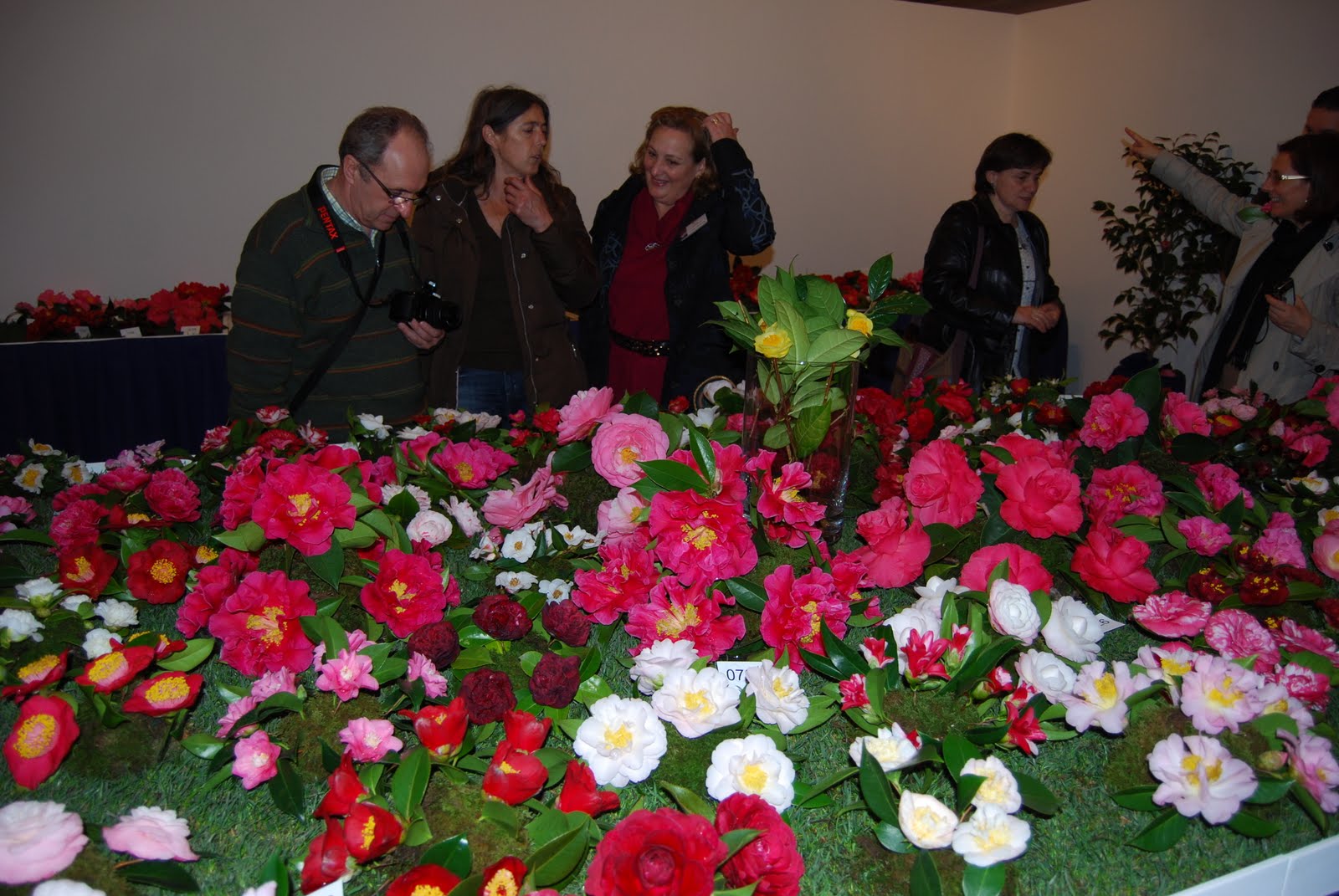 [DSC_1621.JPG]
