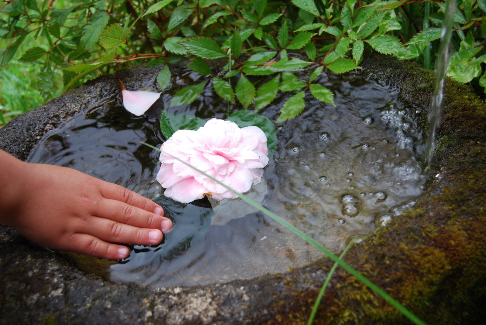 [DSC_0114.JPG]