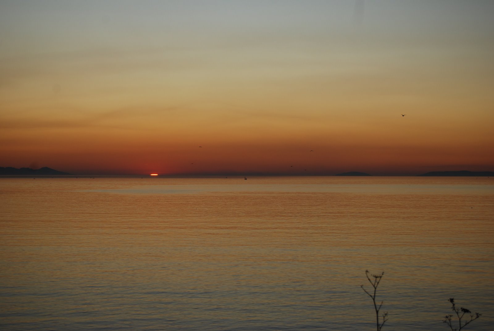 [DSC_0335.JPG]