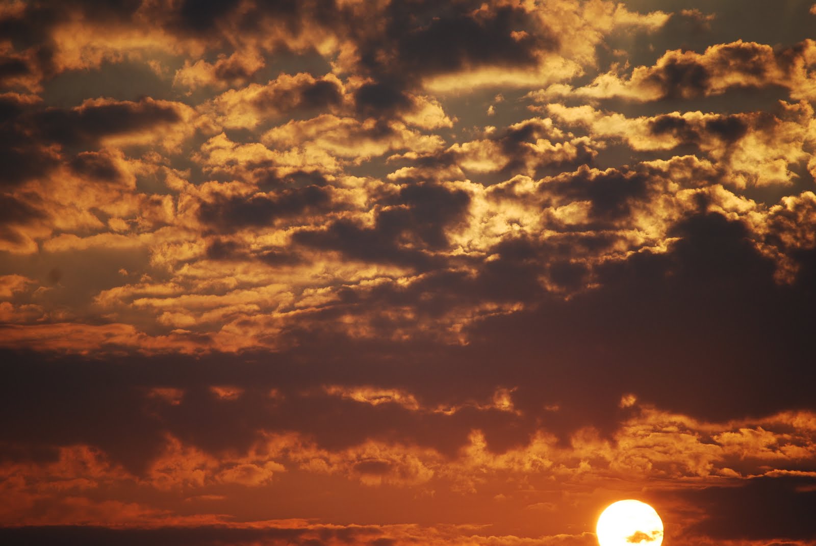 [DSC_0897.JPG]