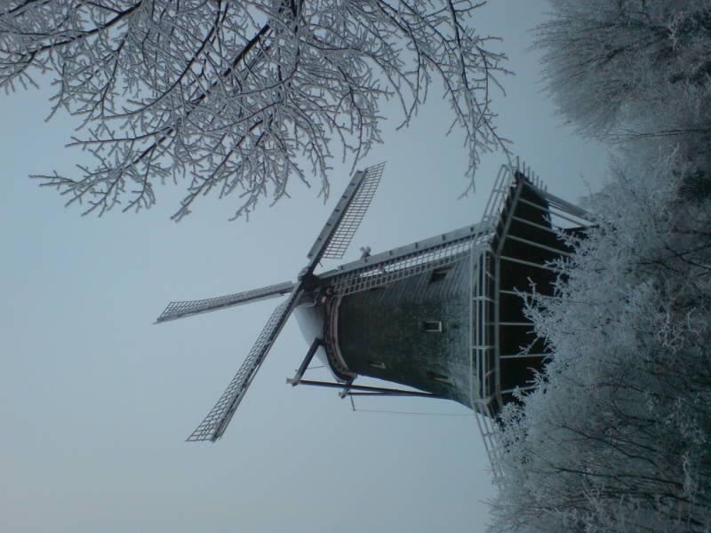 [image-upload-5-729321.jpe]