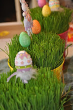 Real Easter Grass Instructions