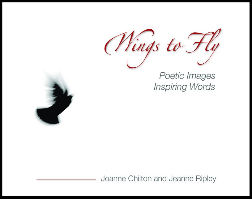 [wingstoflycover09.jpg]